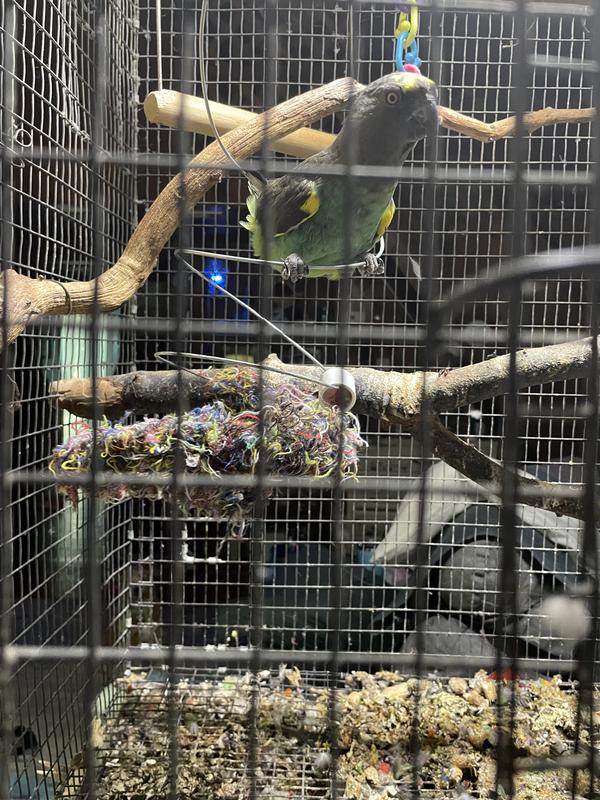 Time for a new one !!