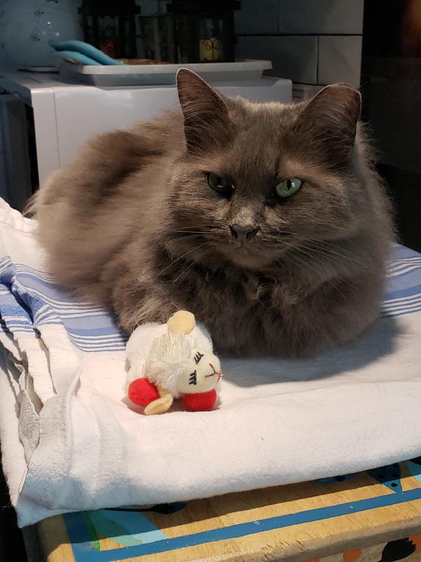 This one is Mine!