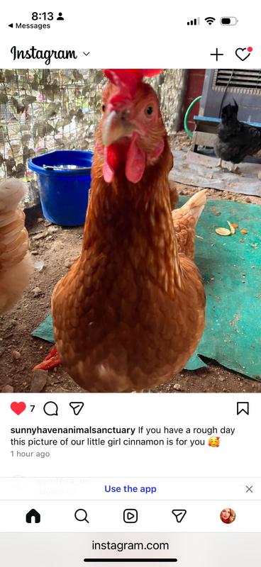 Great and big comfortable