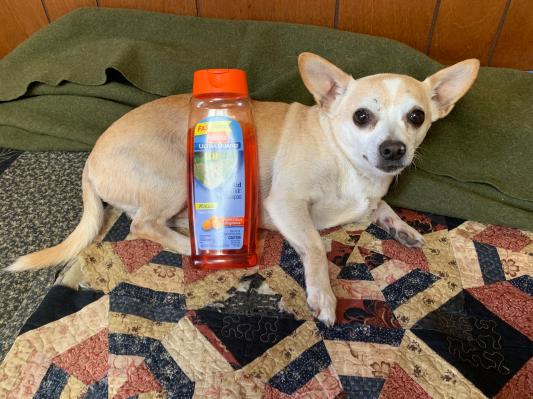 Hartz puppy hotsell shampoo seizures