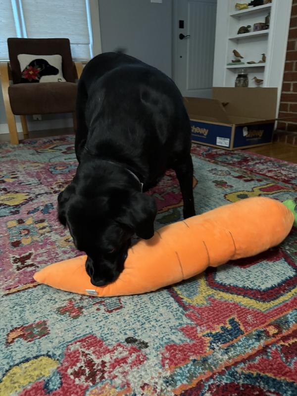 How do I grab this thing? Haha