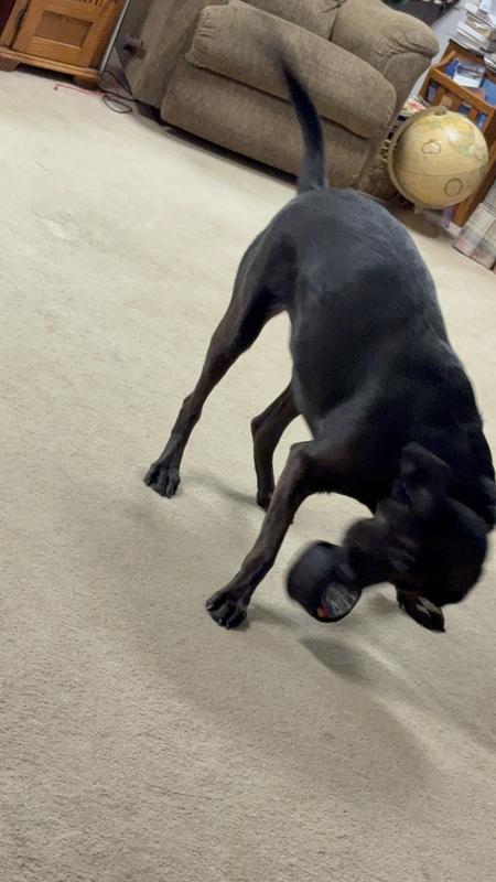 Video shaking and tugging but it’s still a fun challenge!!!