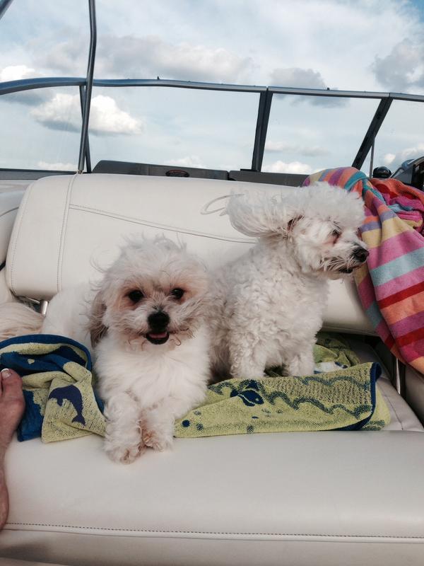 They both love boat rides.