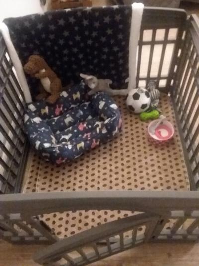 Welcome Home Puppy Pen