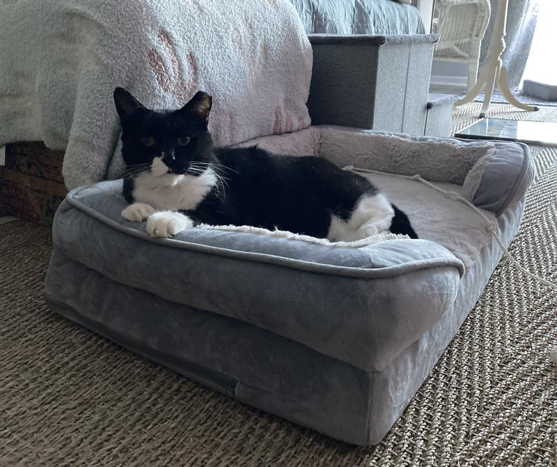 FurHaven Velvet Waves Perfect Comfort Orthopedic Sofa Cat & Dog Bed