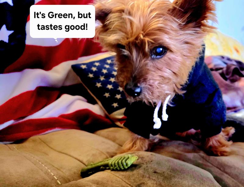 Surprisingly, tasty!