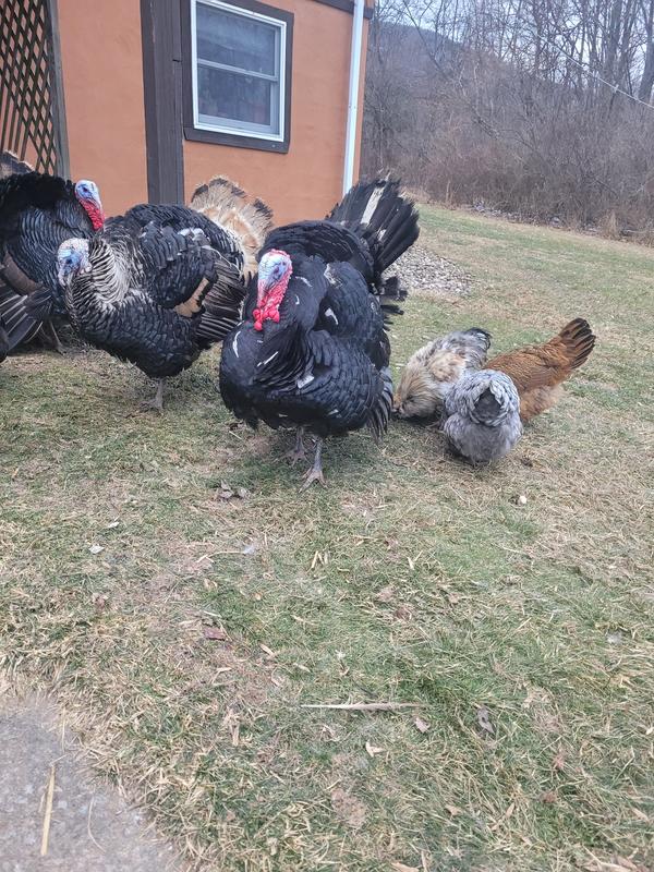 Everyone approves :)