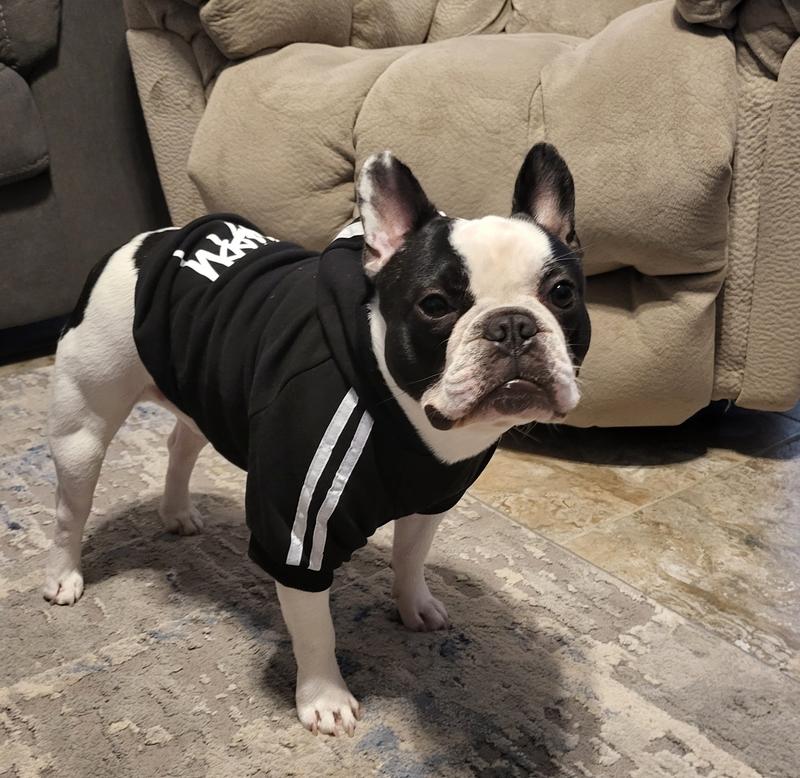 Mack w new hoodie.  So cute.
