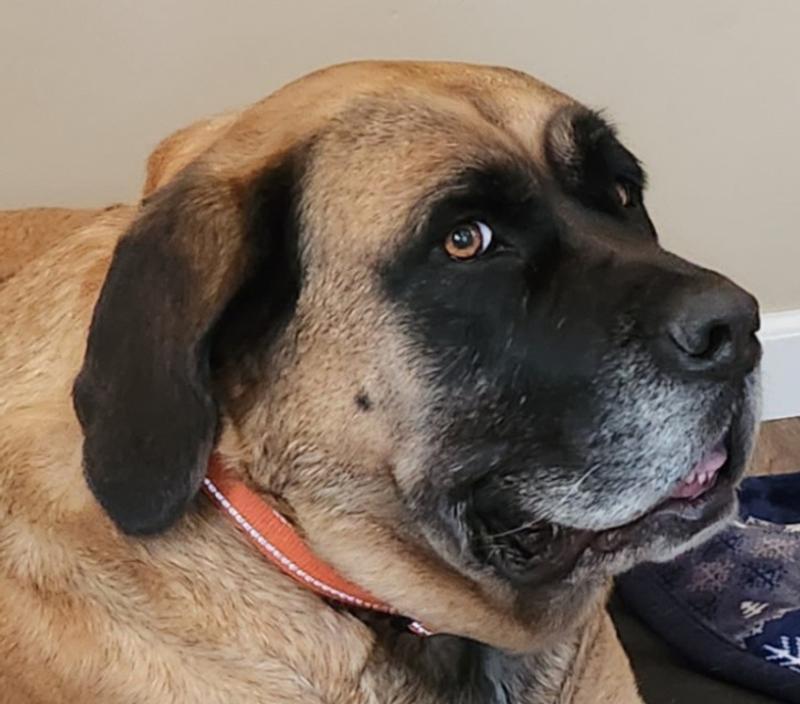 "Time to romp outdoors" says Lucy!