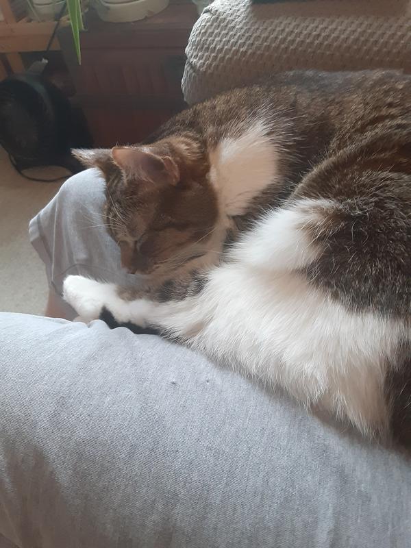 Squirt proving she could care less what I think.