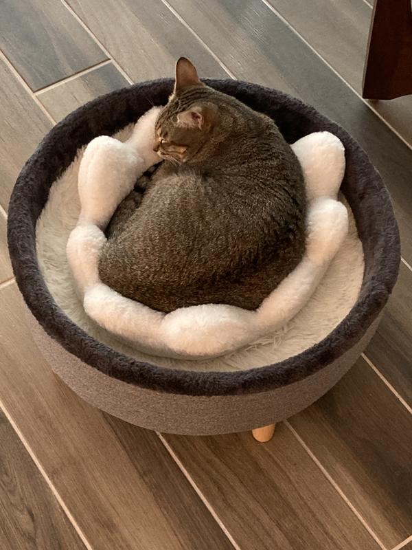 Frisco cat bed hotsell