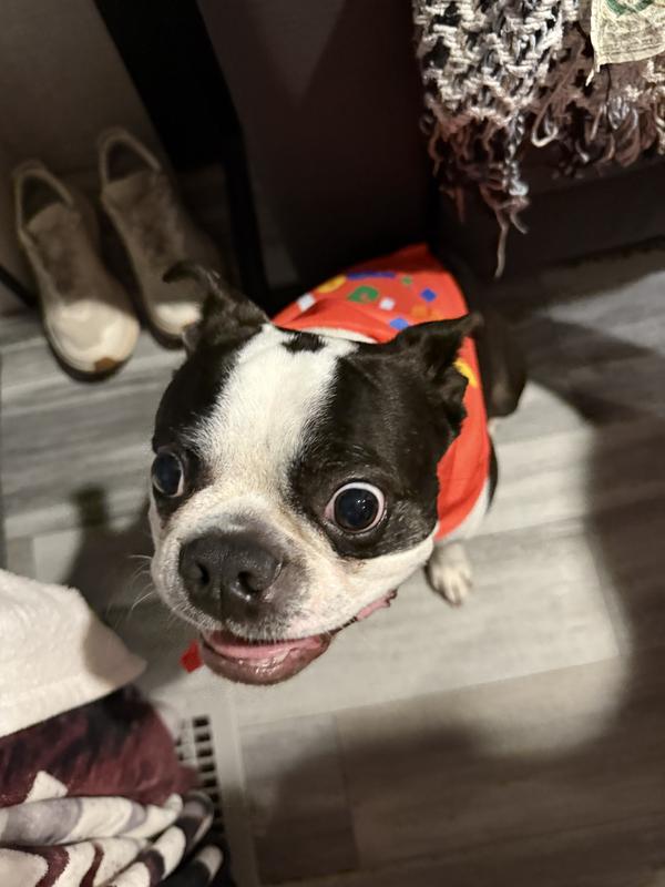 Yes my eyes always look like this.