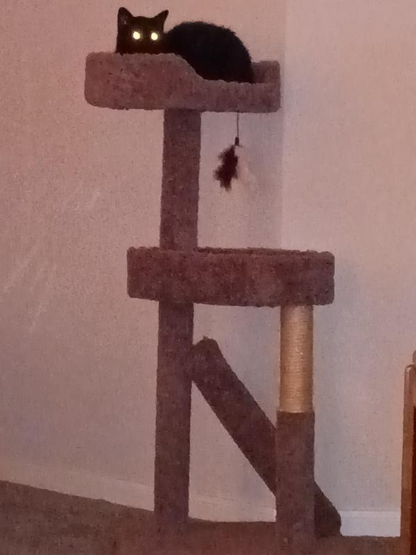 FRISCO 44in Real Carpet Cat Tree with Replaceable Corrugate Scratcher
