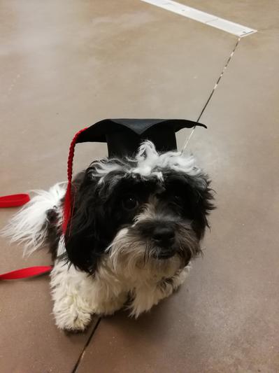 Graduation in Intermediate Training Class