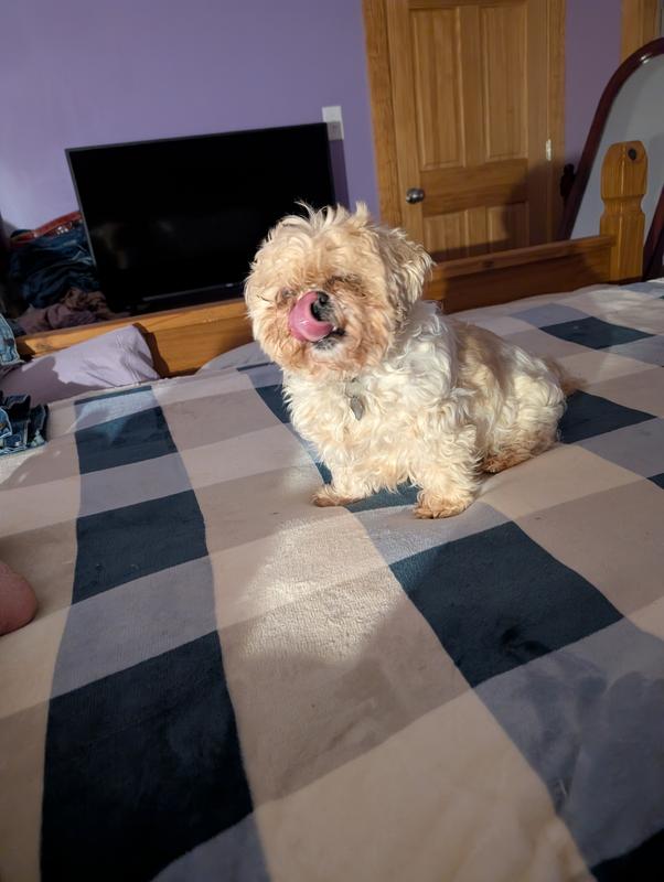 Finished her Native treat