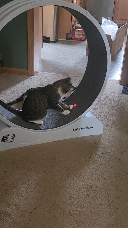 Maizey Likes to Observe