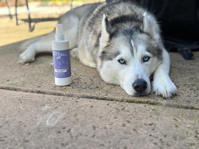 Covers up that eau de Husky!