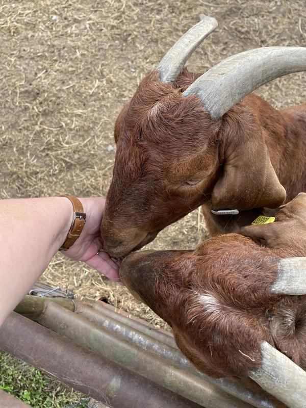 Willing to try one more time since there’s competition