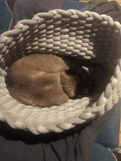 Snuggled in !