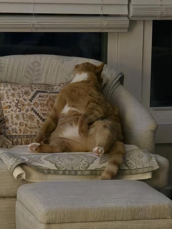 "I'm feeling like I don't care."