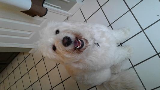 "I'm a happy girl "