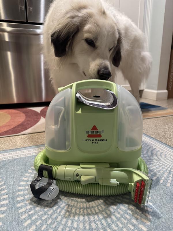BISSELL Little Green Mini Pet Carpet Cleaner - Chewy.com
