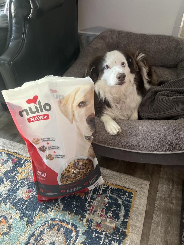 Lucy gives 4 Paws Up!