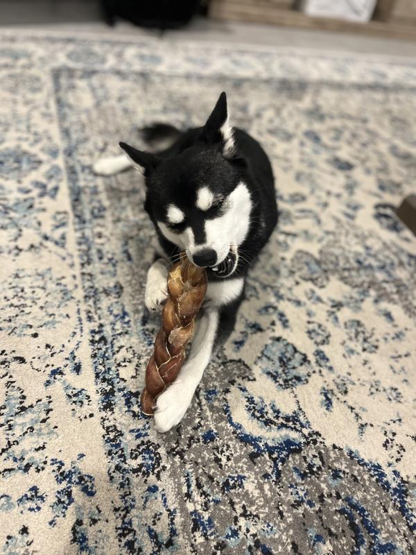 PAWSTRUCK Braided Bully Sticks Dog Treats, 1lb bag, 9in