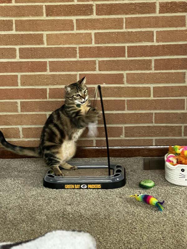 PETS FIRST NFL Football Field Cat Scratcher Toy with Catnip