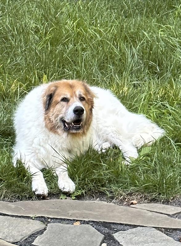 After the fluff was washed.. nice and clean !