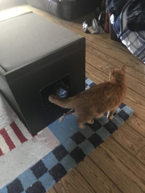 FRISCO Drop Down Door Bench Cat Litter Box Cover