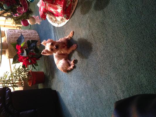 Winnie the pooh! Our girl! <3