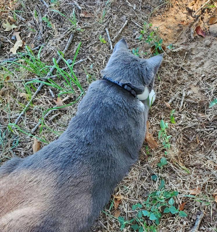 His name and phone number are easily read.