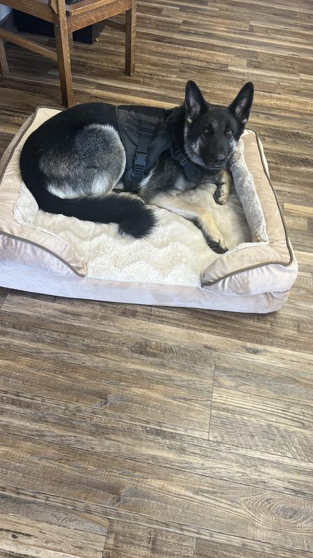 FurHaven Velvet Waves Perfect Comfort Orthopedic Sofa Cat & Dog Bed