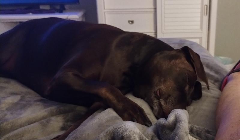 Ava's nap