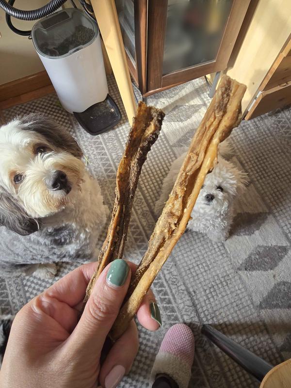 A whole stick each doggo