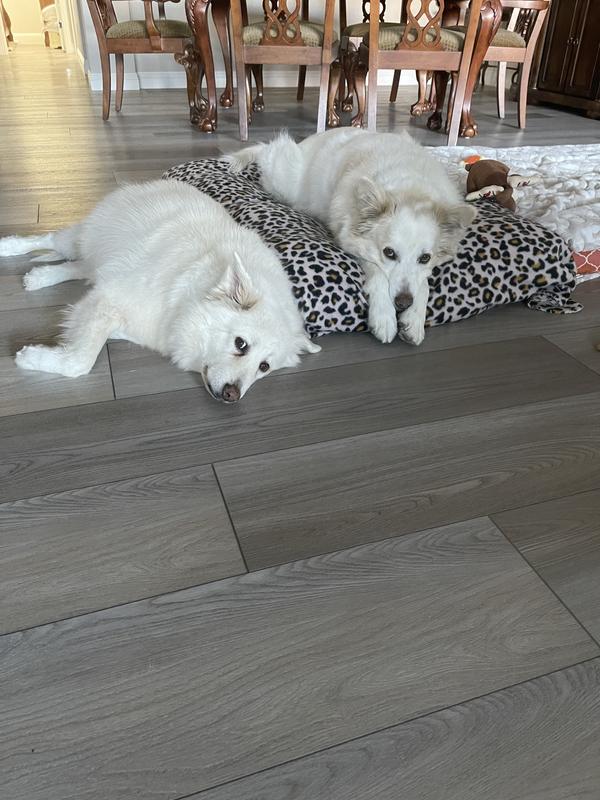 My beautiful babies give a 5* rating to this brush!