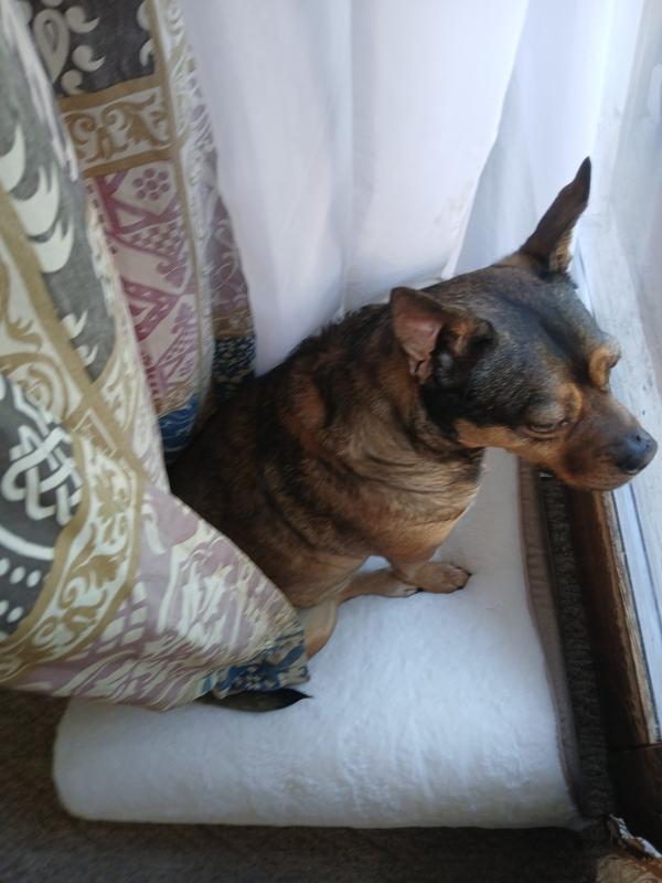 Checking out the world