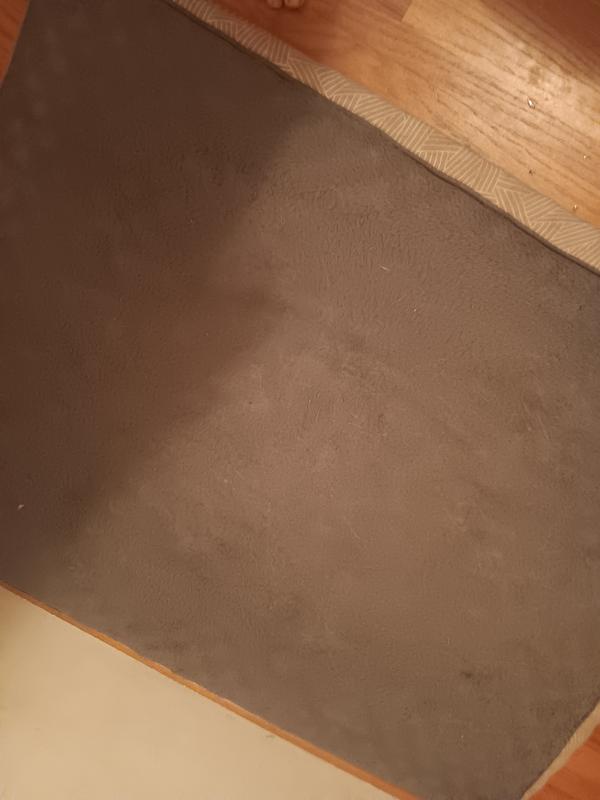 You can see her old bed is in better shape than the new one.