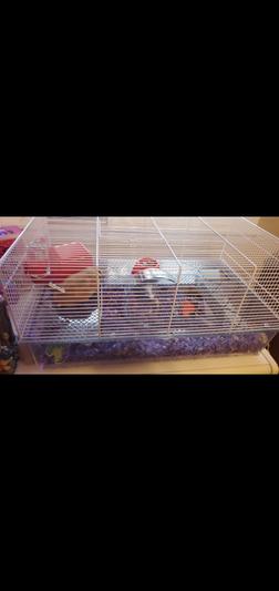 Alaska hamster hotsell cage review