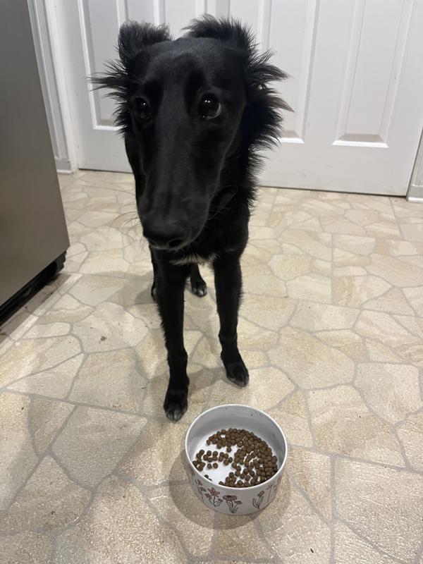 Not today. I have created a monster when it comes to her feeding