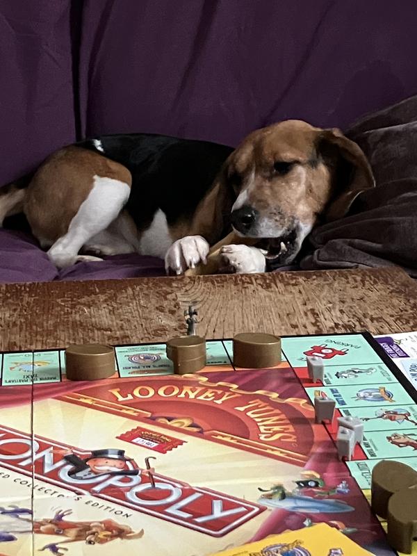 We would see him ‘dog’ but for some treats, he can’t resist.