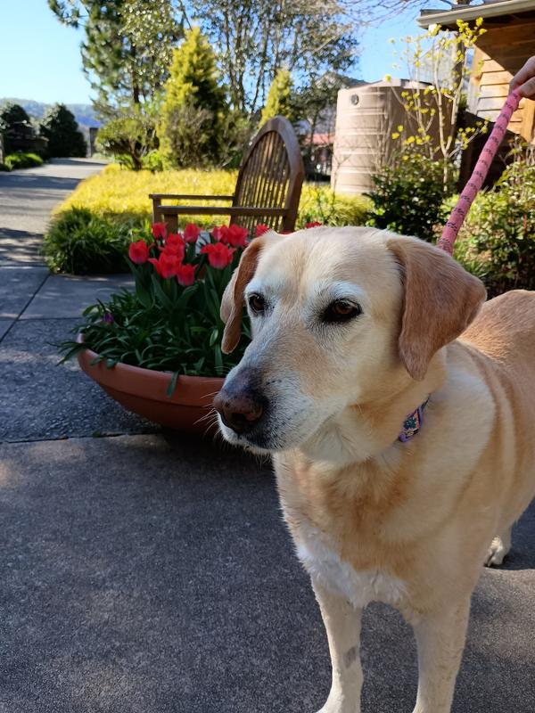 Juanita