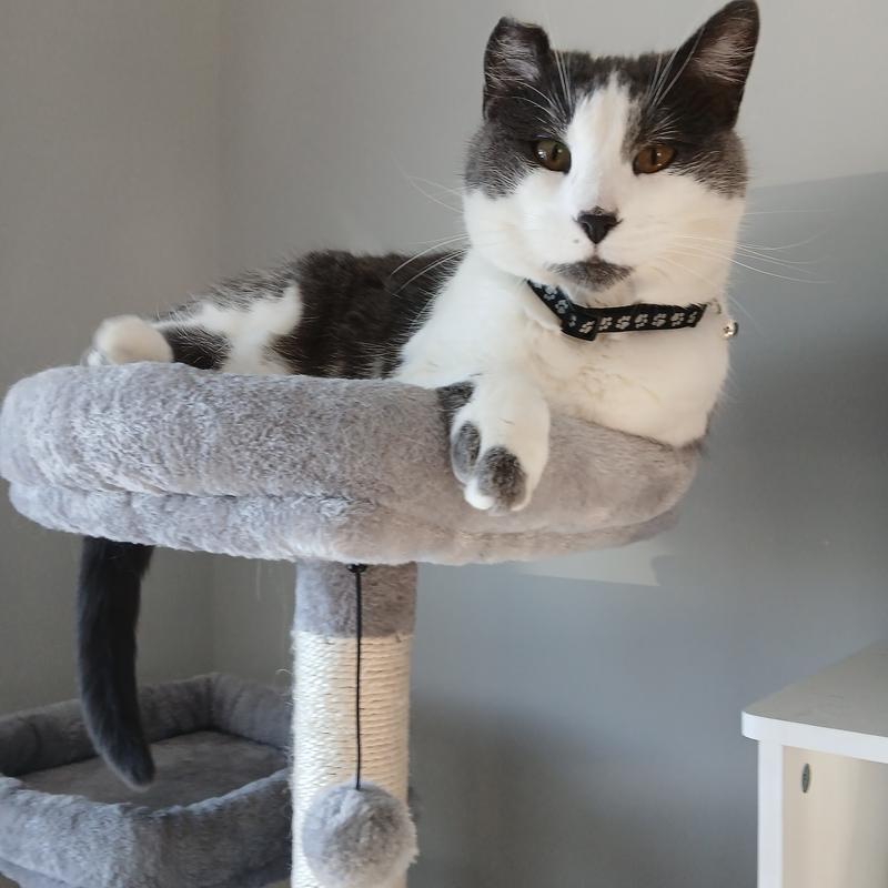 Duckie LOVES his condo!!