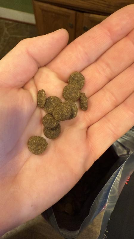 The kibble size is great for a wide range of dog sizes. It’s not too big or too small for a lot of dogs.