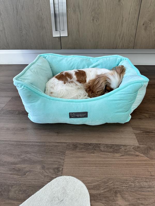 Cavalier in aqua bed.