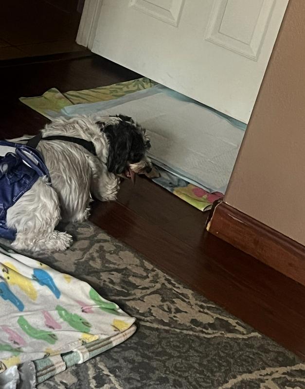 Minkie napping it far from her nighttime pad when she doesn’t have a diaper on.