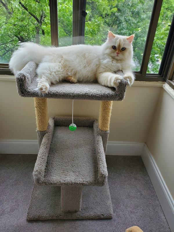 WINSTON RULES THE ROOST!