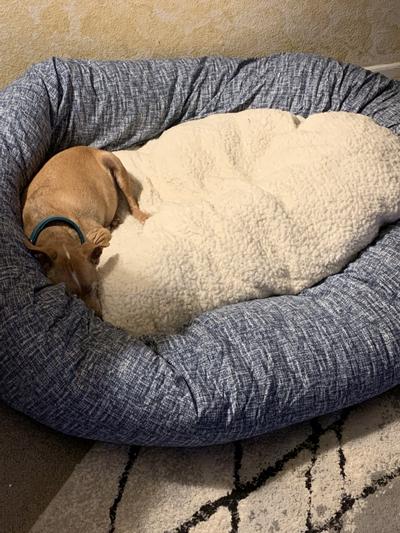 Lil Man loves it also!