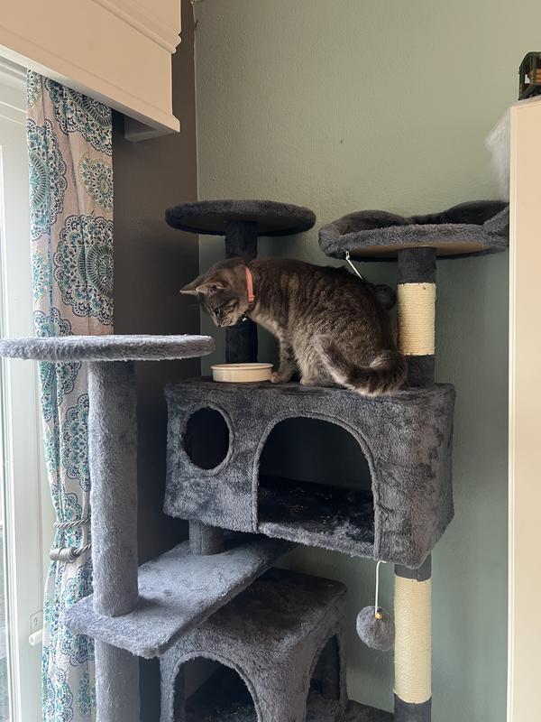 Definitely will purchase a larger model in the future, this one is a little cramped for her.